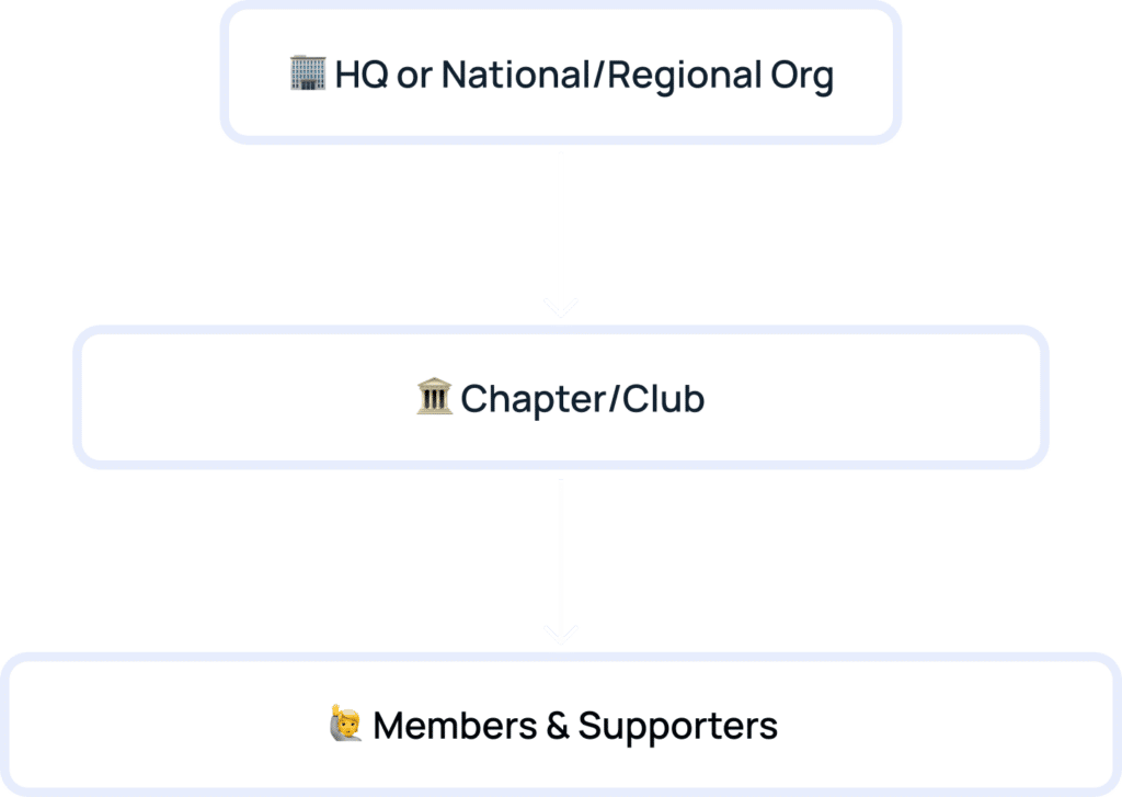 structure of national or regional organizations