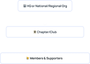 structure of national or regional organizations