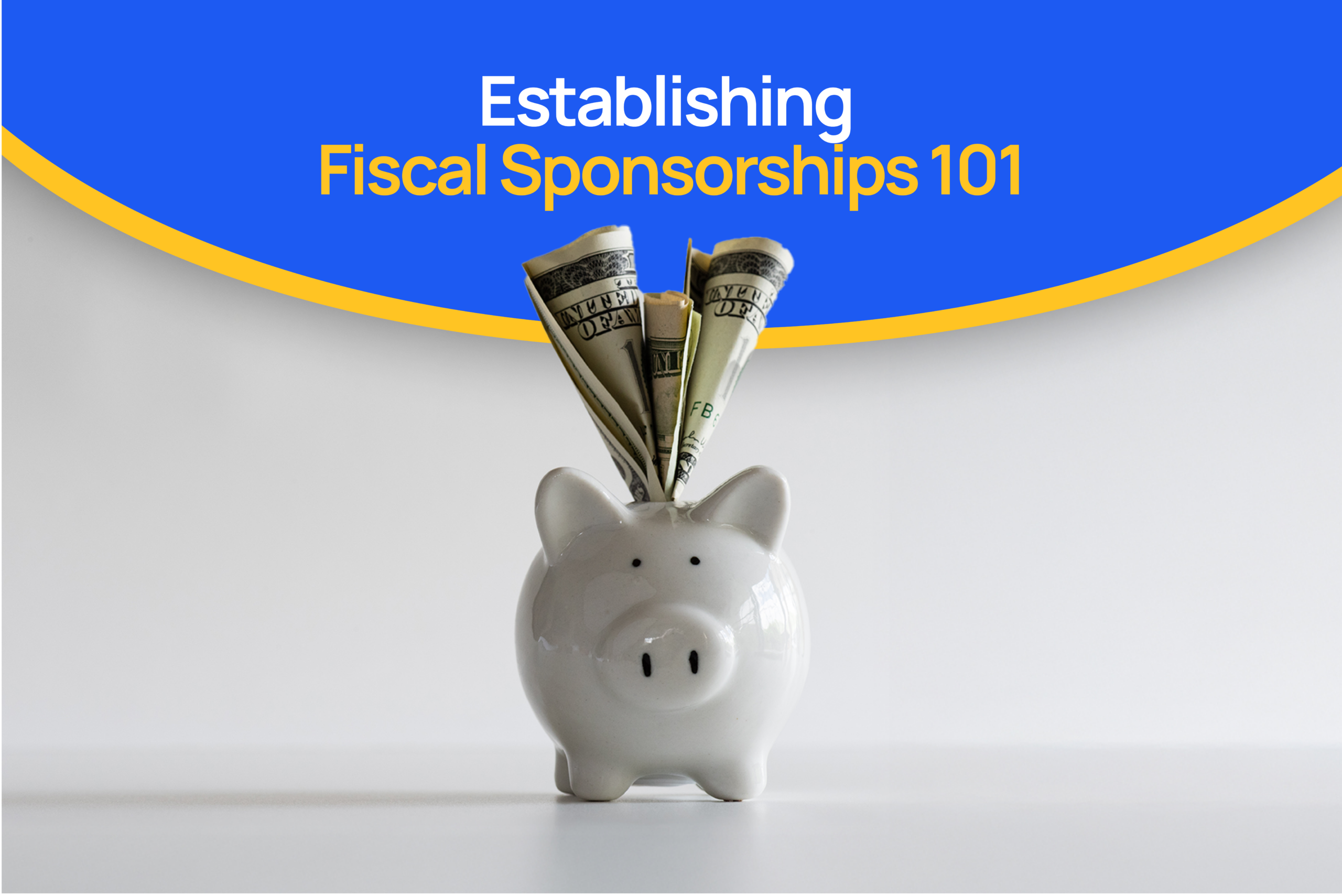 nonprofit fiscal sponsorships